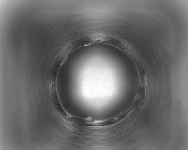 X0000066970601200603311451