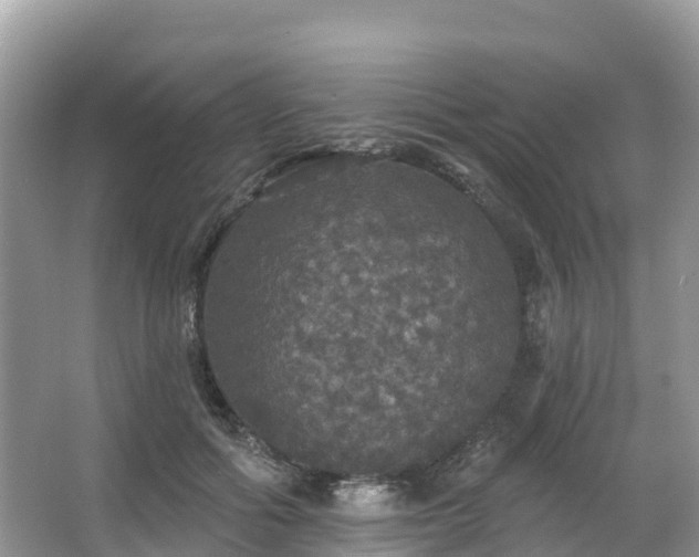 X0000066970602200603311451