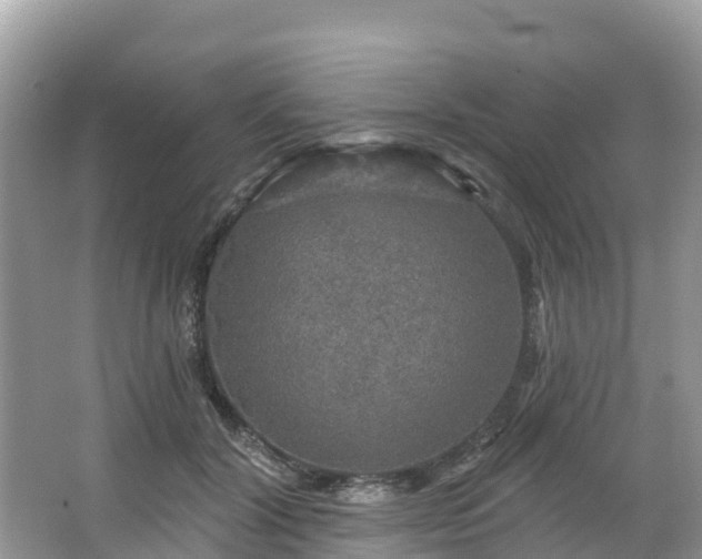 X0000066970604200603311451