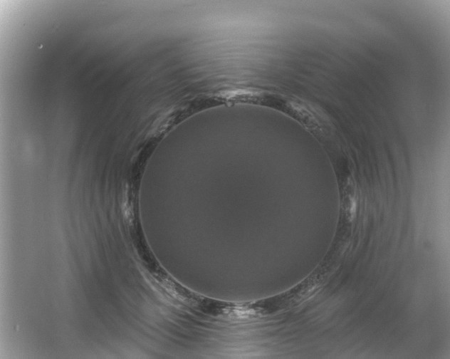 X0000066970607200603311451