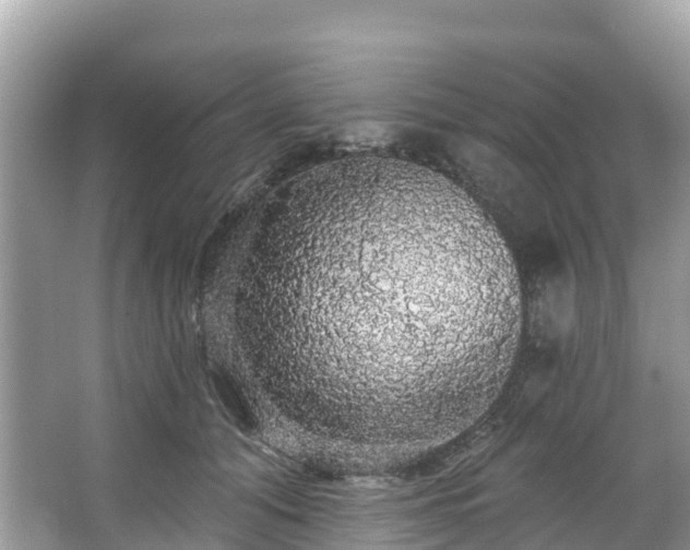 X0000066970608200603311451