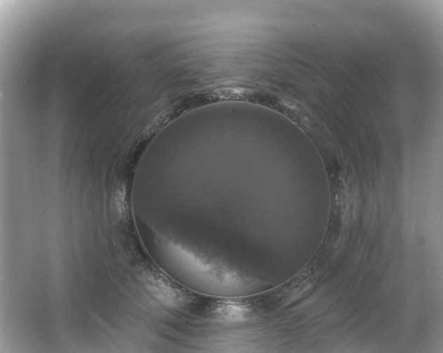 X0000066970610200603311451