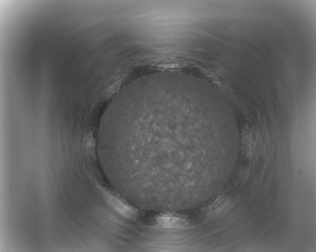 X0000066970614200603311451