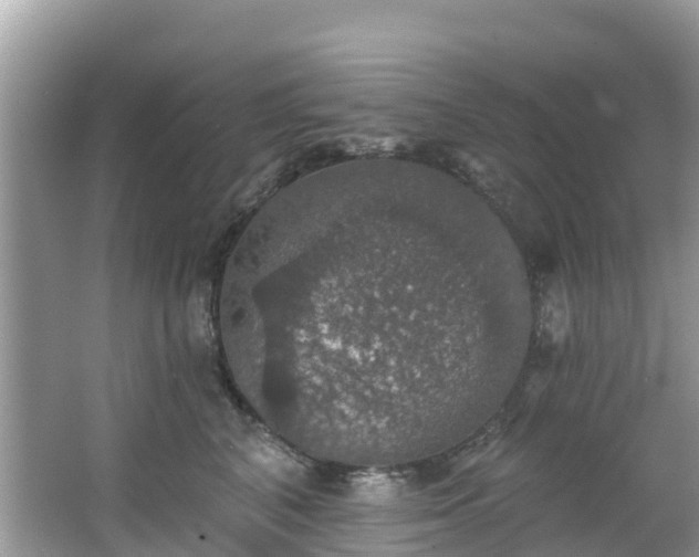 X0000066970616200603311451