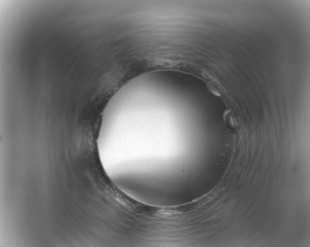 X0000066970617200603311451