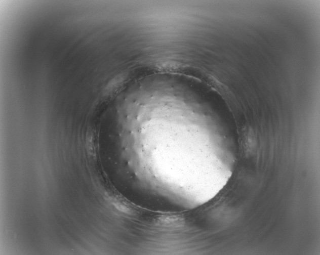 X0000066970619200603311451