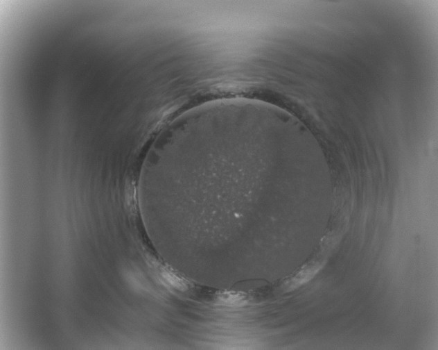 X0000066970624200603311450