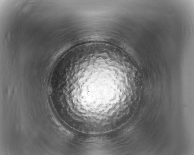 X0000066970625200603311450