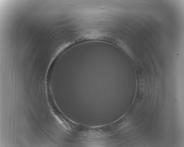 X0000066970626200603311450