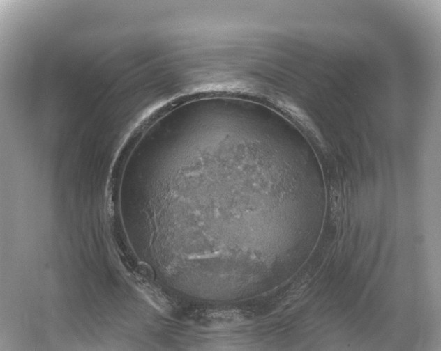 X0000066970628200603311450