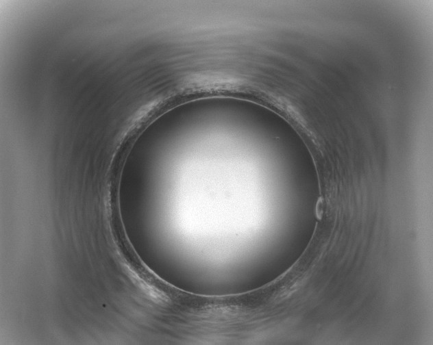 X0000066970629200603311450