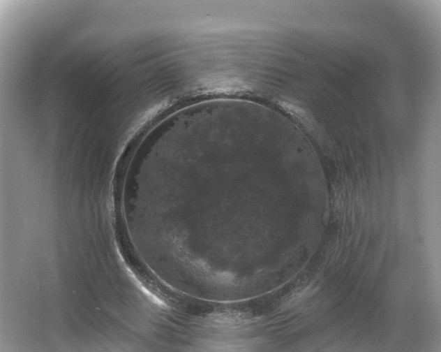 X0000066970630200603311450