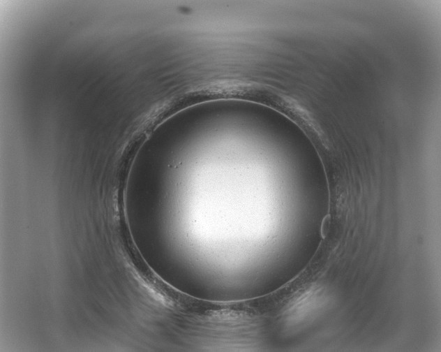 X0000066970633200603311450