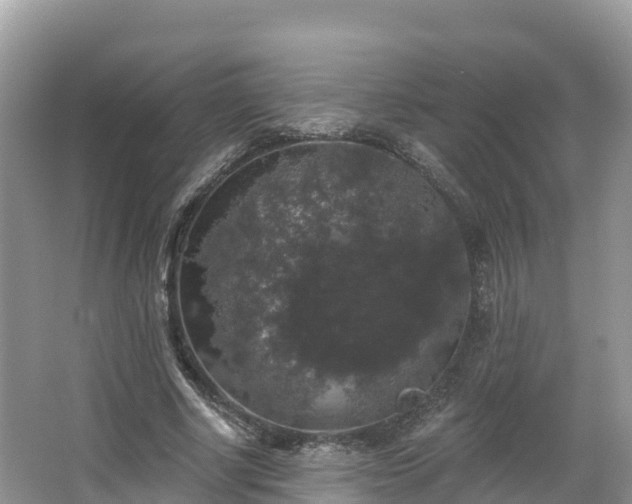 X0000066970634200603311450