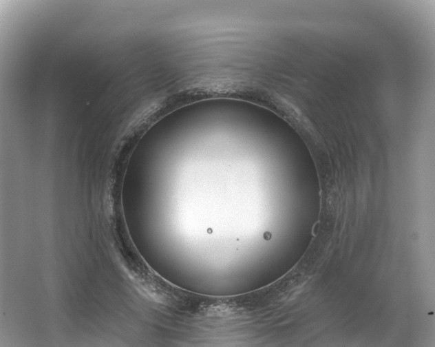 X0000066970635200603311450