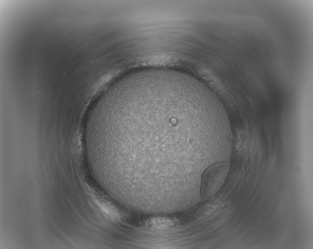 X0000066970636200603311450