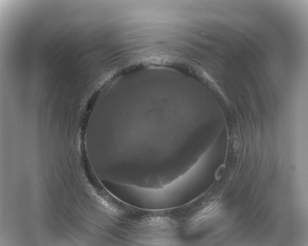 X0000066970637200603311450