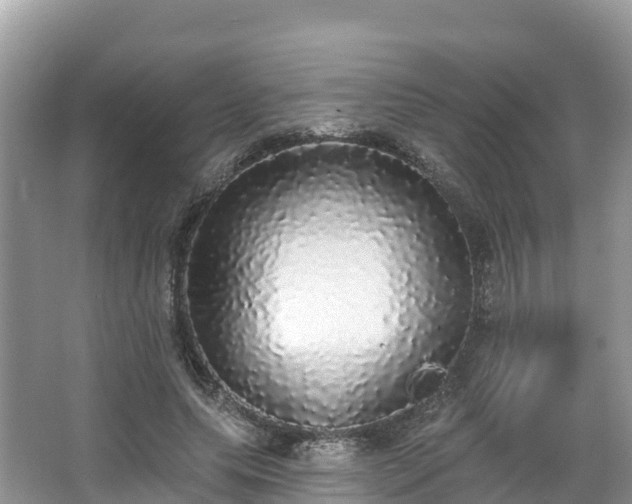 X0000066970639200603311450