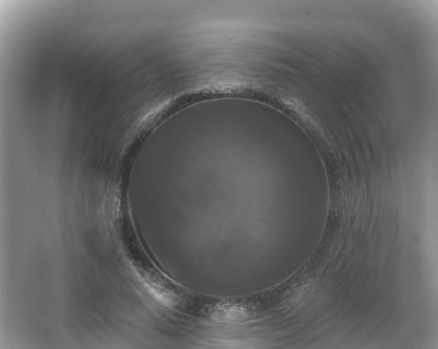 X0000066970640200603311450