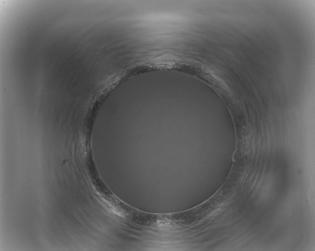 X0000066970641200603311450