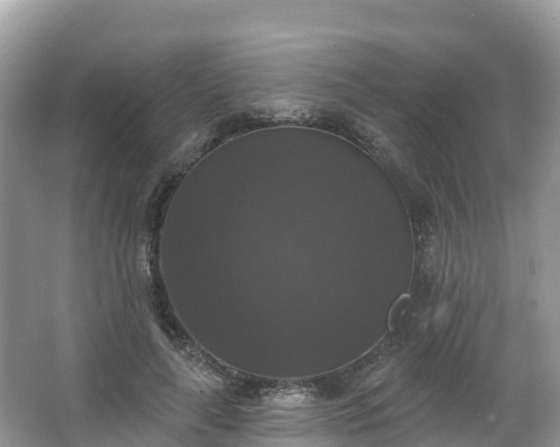 X0000066970643200603311450