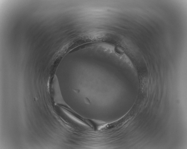 X0000066970644200603311450