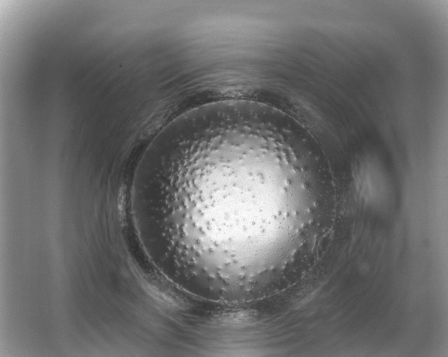 X0000066970646200603311450