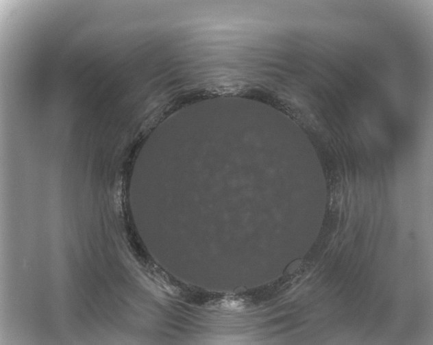 X0000066970647200603311450