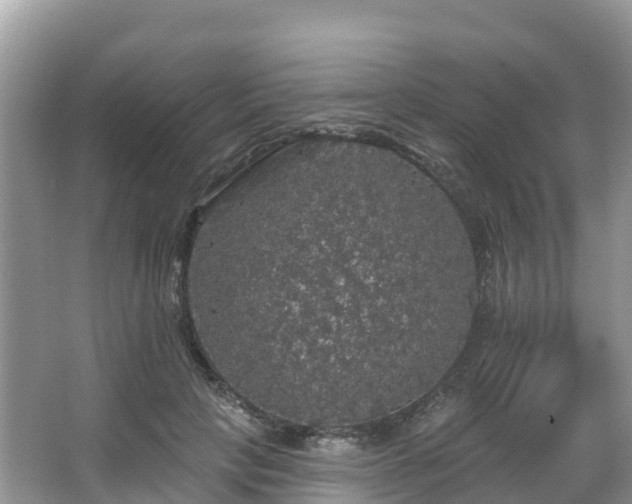 X0000066970649200603311450