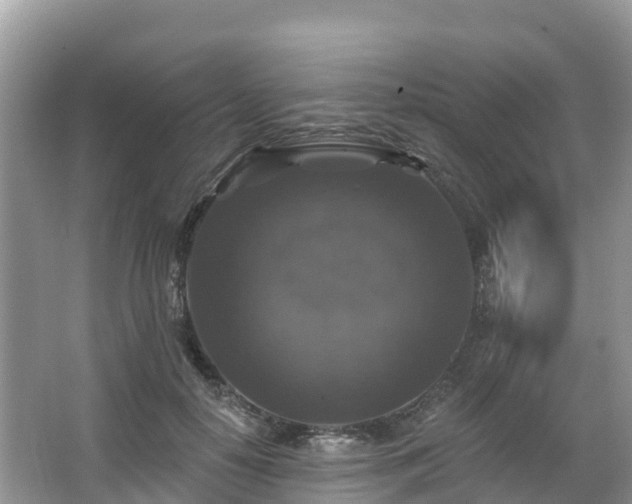 X0000066970650200603311450