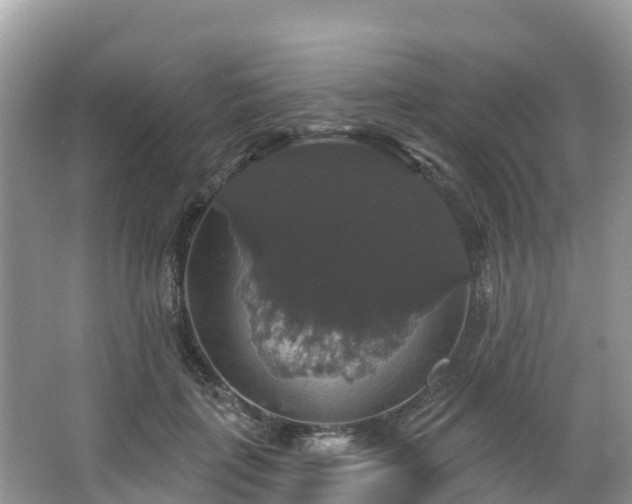 X0000066970651200603311450