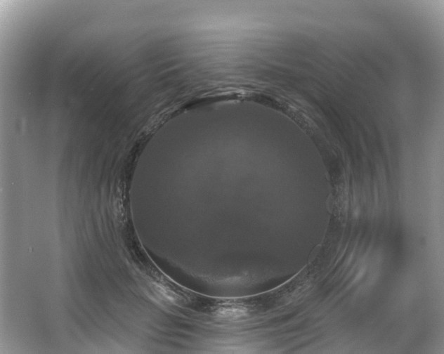 X0000066970653200603311450