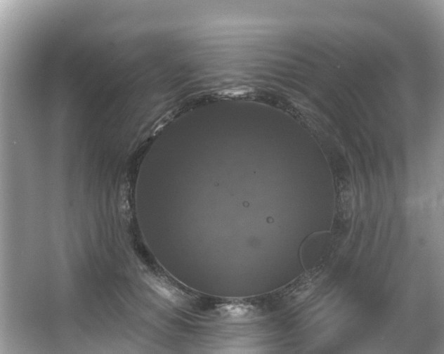 X0000066970654200603311450