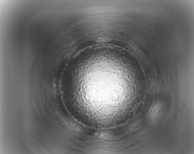 X0000066970655200603311450