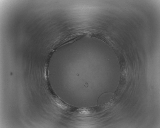 X0000066970658200603311450