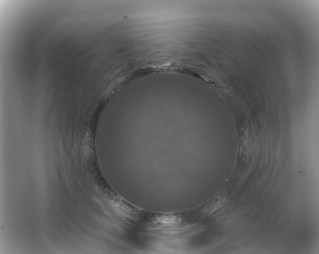 X0000066970659200603311450