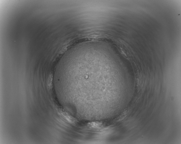 X0000066970660200603311450