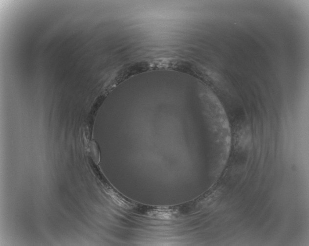 X0000066970661200603311450