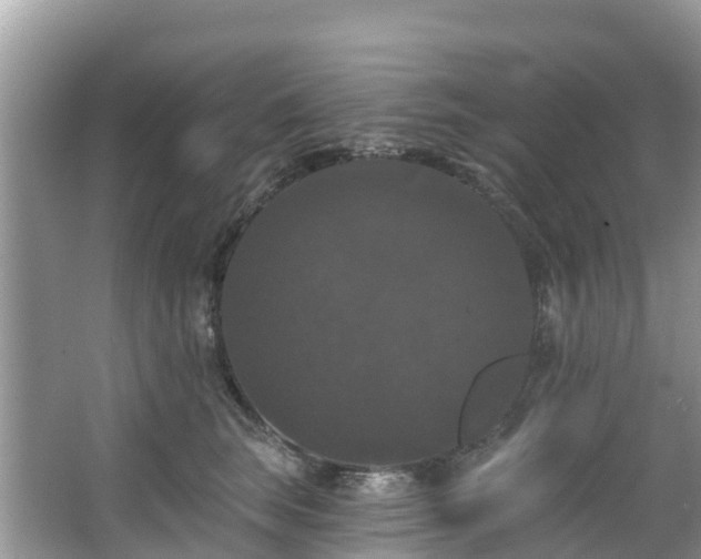 X0000066970663200603311450