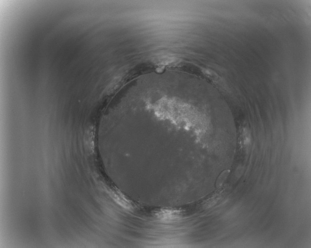 X0000066970664200603311450