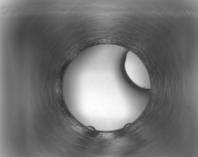 X0000066970665200603311450