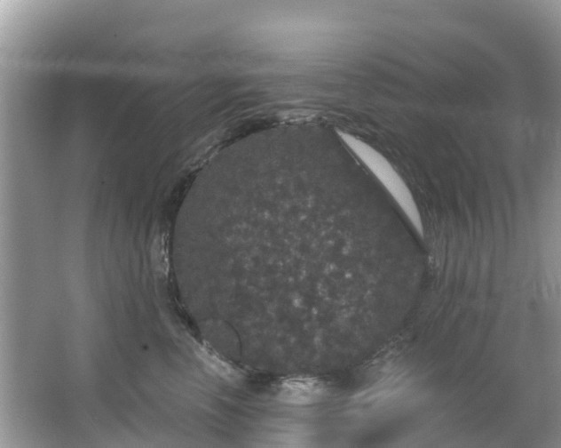 X0000066970666200603311450