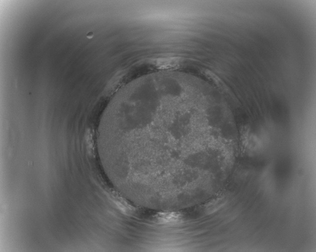 X0000066970667200603311450