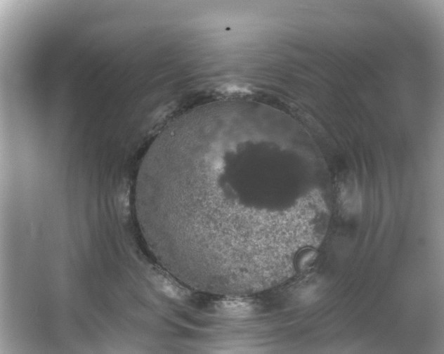 X0000066970668200603311450