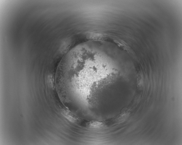 X0000066970669200603311450