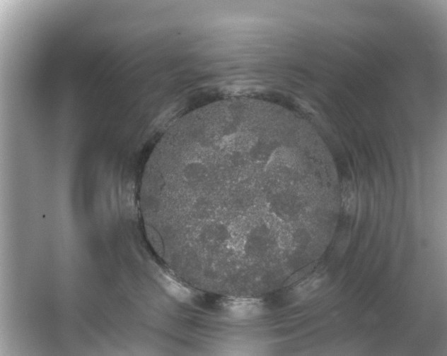 X0000066970670200603311450