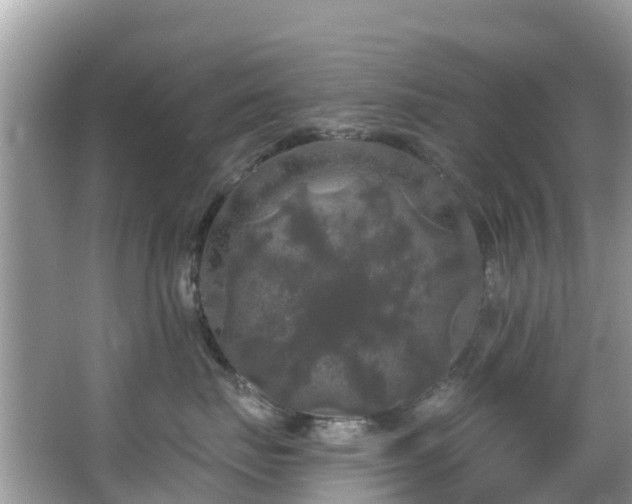 X0000066970671200603311450