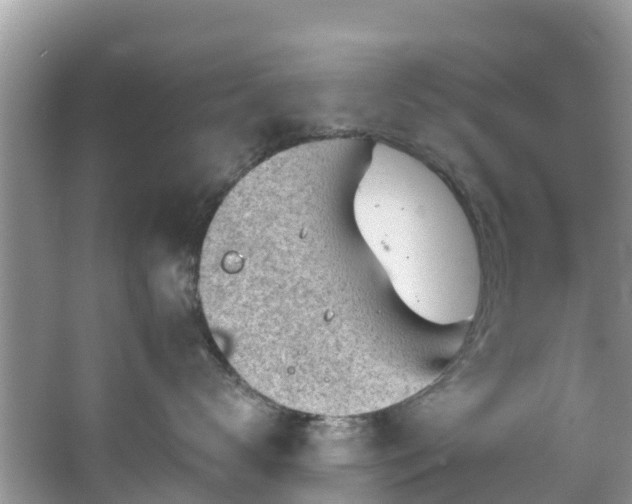 X0000066970672200603311450