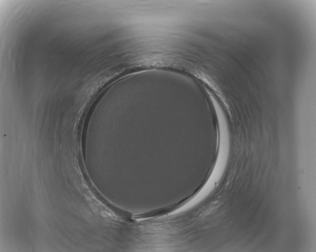 X0000066970673200603311450