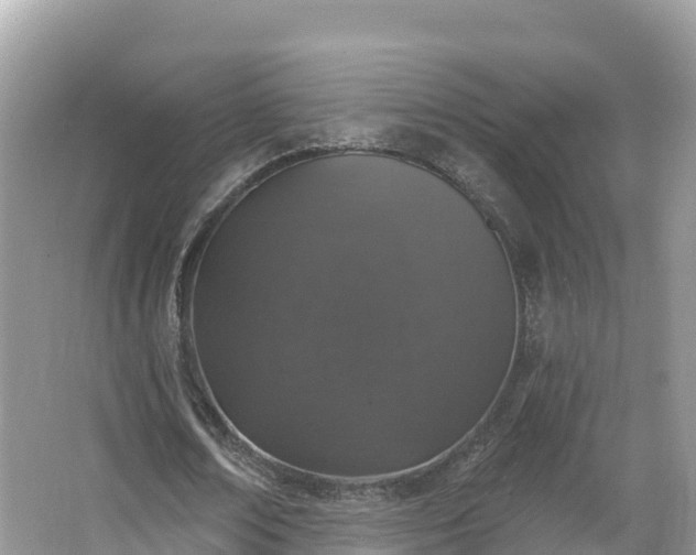 X0000066970674200603311450